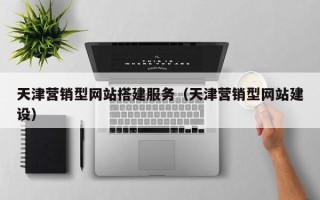 兴安盟天津营销型网站搭建服务（天津营销型网站建设）